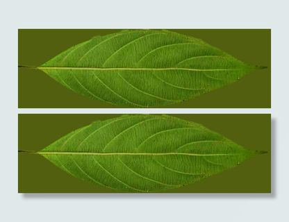 3d室内模型素材