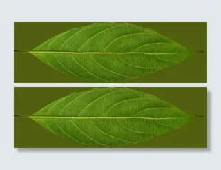 3d室内模型素材