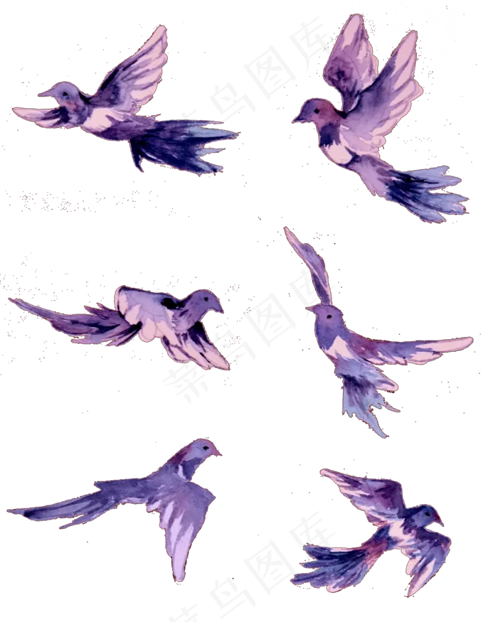 七夕节水彩手绘喜鹊元素(300 dpi)