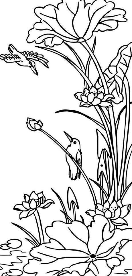荷花素材图片