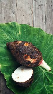 芋头高清摄影图片