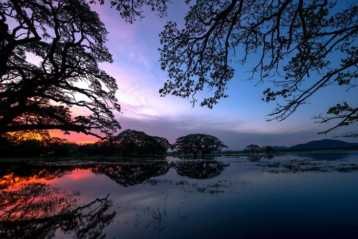 湖泊树木风景
