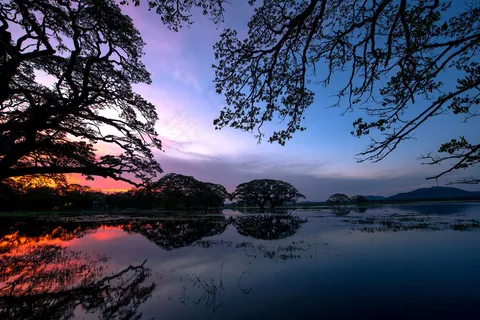 湖泊树木风景 湖泊树木风景