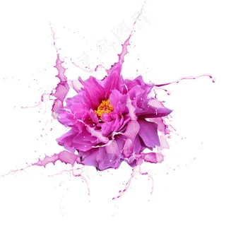 鲜花 花飞舞效果 花朵动态水效果