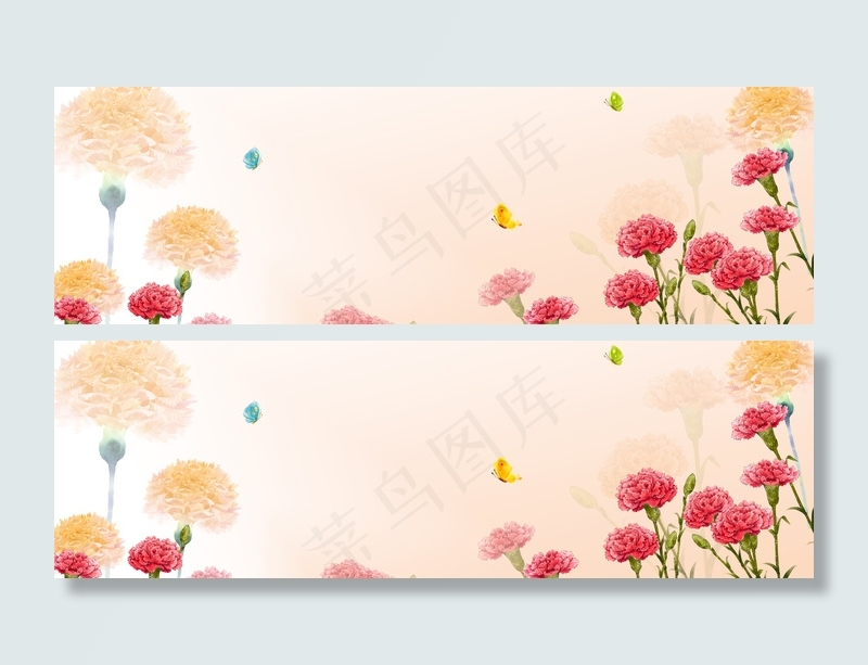 康乃馨淘宝背景图　