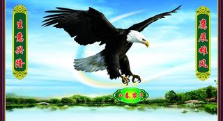 回春农资（鹰）图片