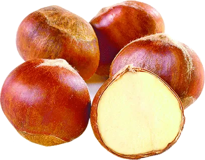 板栗淘宝宣传促销页面元素PNG素材