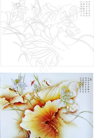 笔下生花 荷花图片