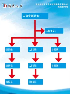 人力公司组织架构图