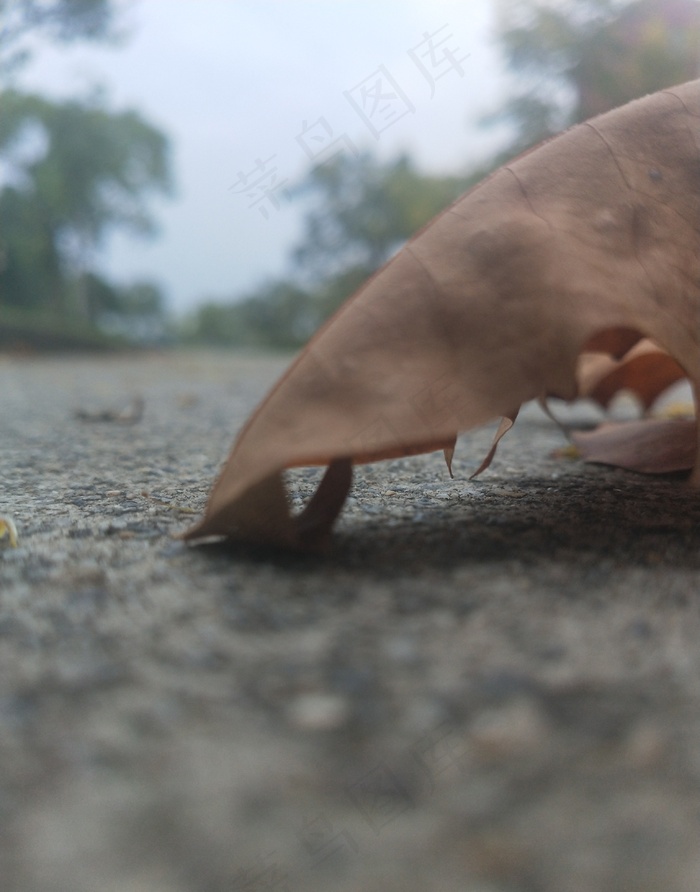 不同聚焦下的道路01