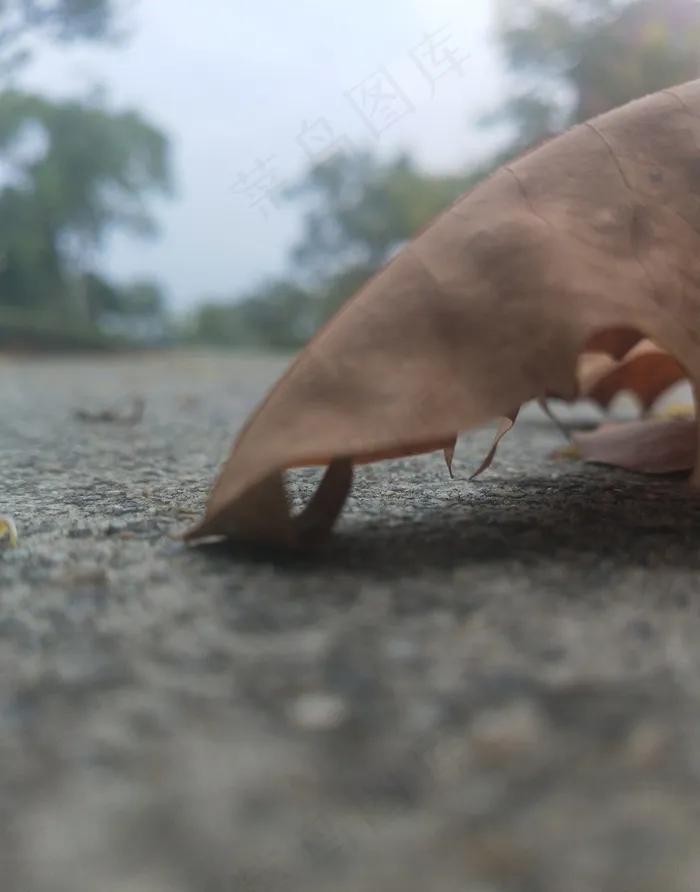 不同聚焦下的道路01