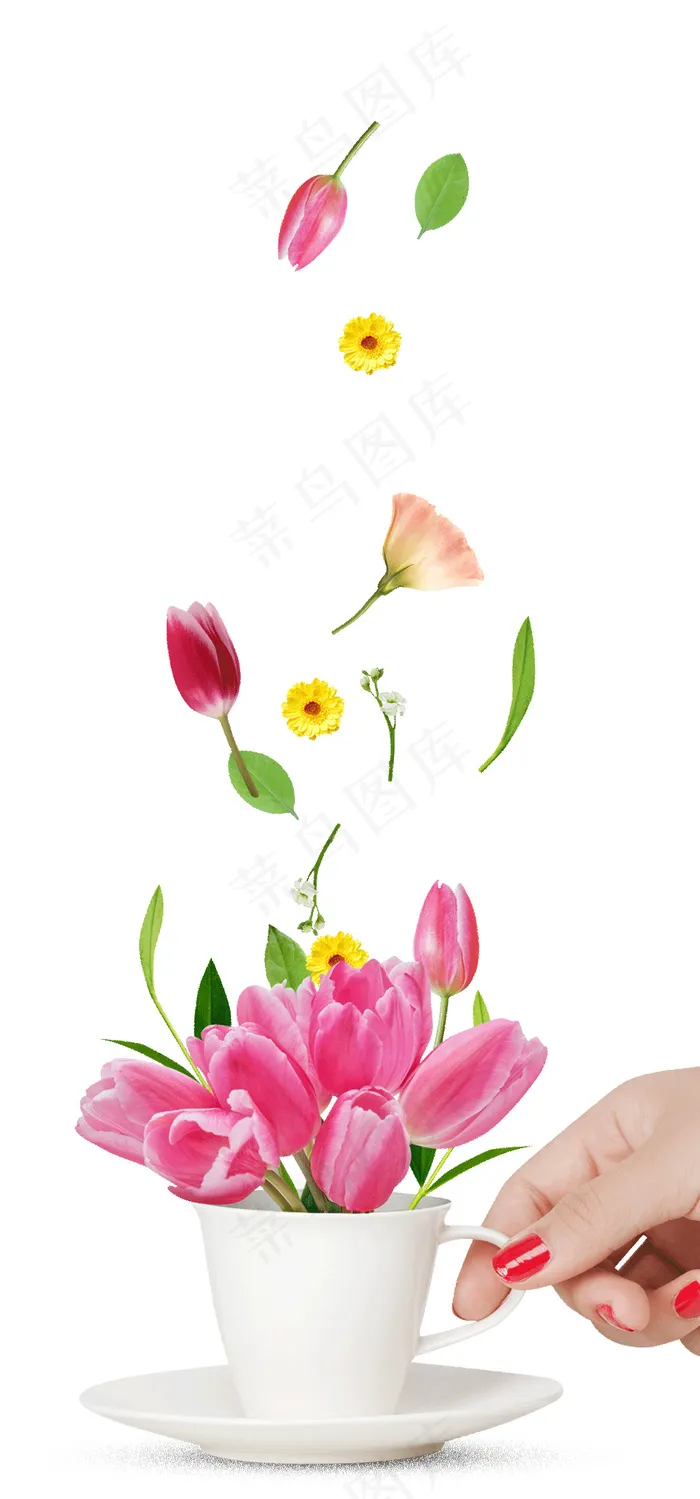 郁金香 鲜花psd模版下载