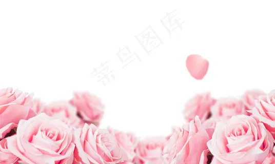 粉玫瑰 玫瑰花边框 玫瑰花底图  粉玫瑰 玫瑰花边框 玫瑰花底图