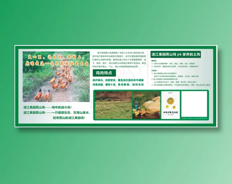 绿色  鸡  养鸡  田园鸡cdr矢量模版下载