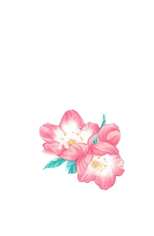 桃花 手绘桃花psd模版下载