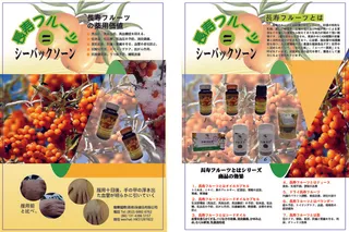 红色简约风水果活动宣传单