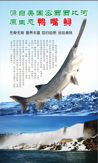 鸭嘴鱼海报