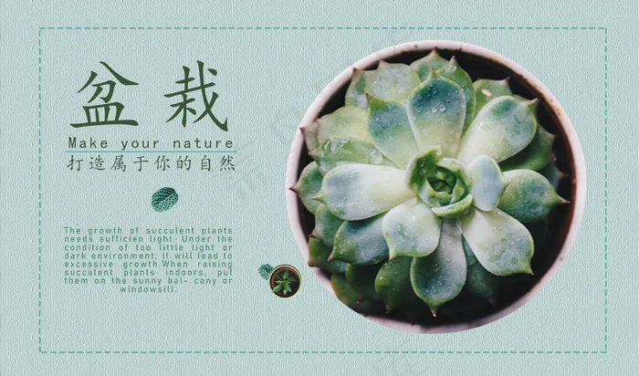 简约盆栽海报psd模版下载