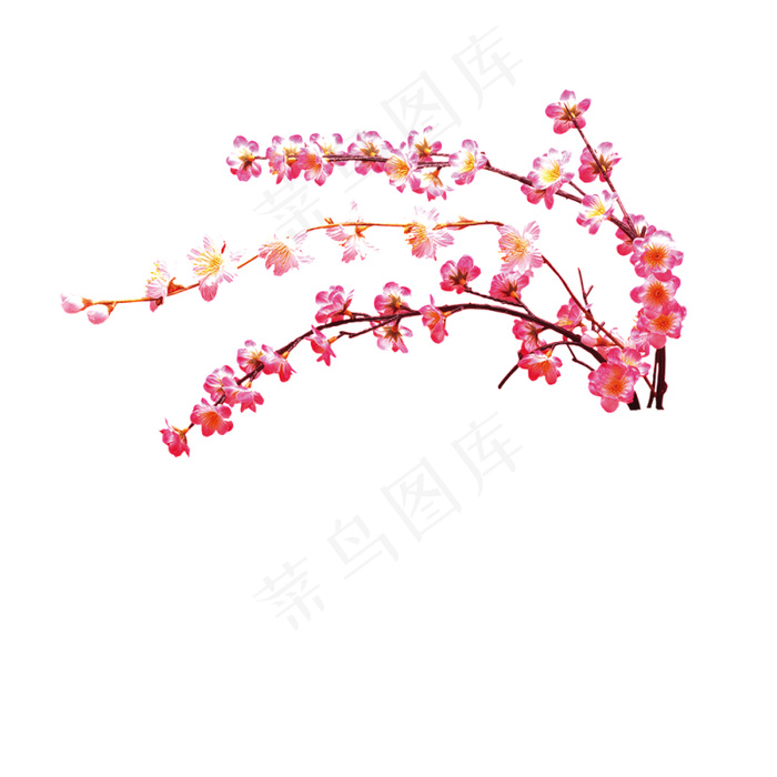 石榴花 石榴枝条psd模版下载