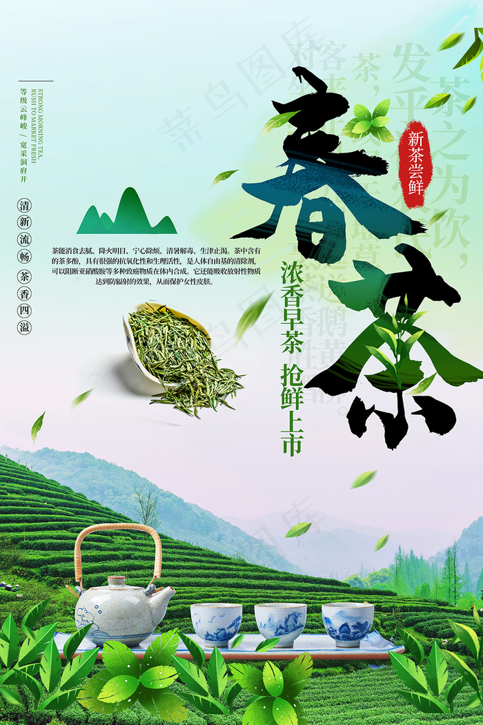 绿色早茶春茶上市促销海报psd模版下载