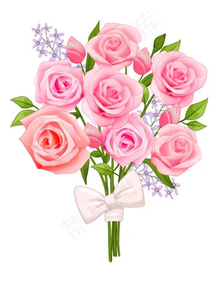 玫瑰花 粉玫瑰 红玫瑰