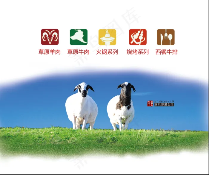 草原上的羊