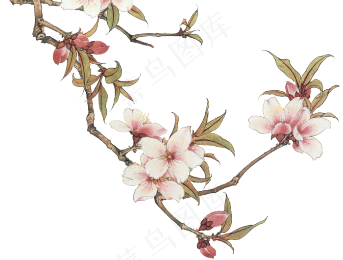 桃花装饰元素