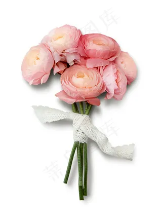 玫瑰花 粉玫瑰 红玫瑰 一束玫瑰