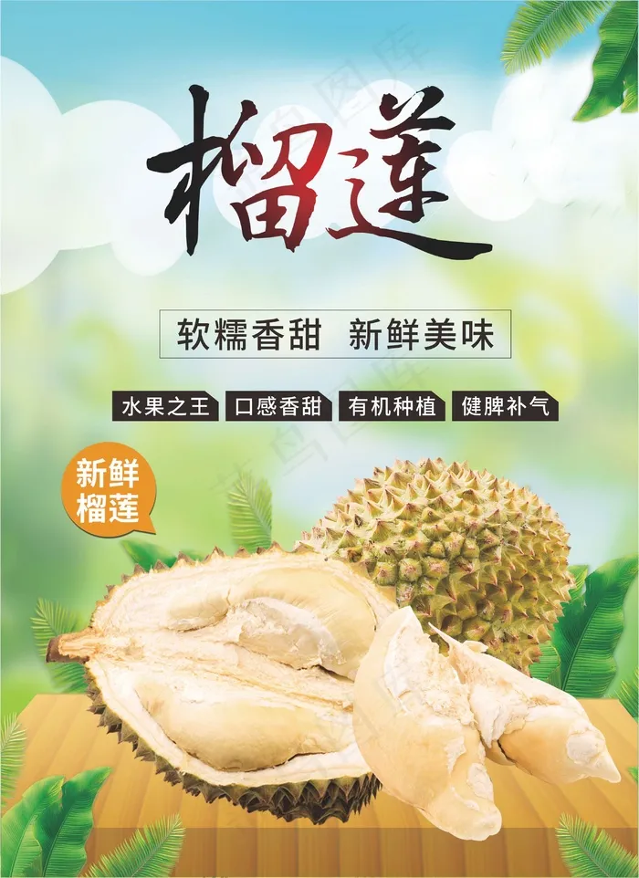 水果海报模板cdr矢量模版下载