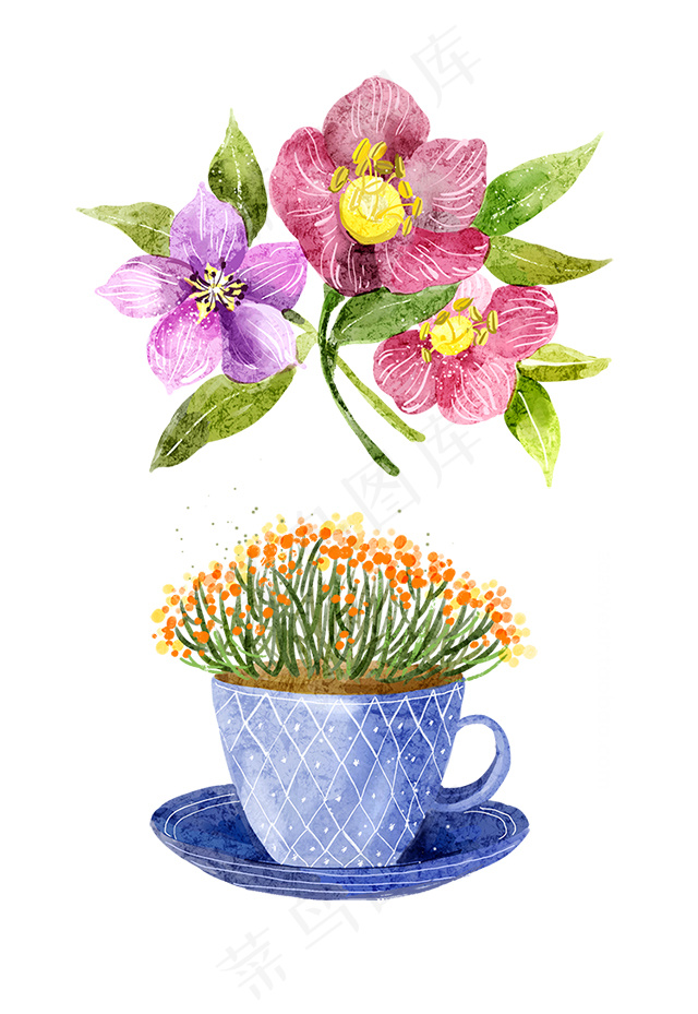鲜花插画 茶杯 手绘咖啡