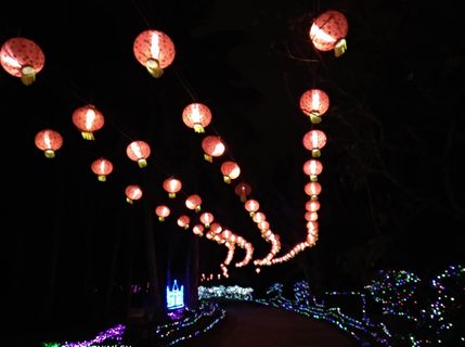 灯火阑珊处灯笼