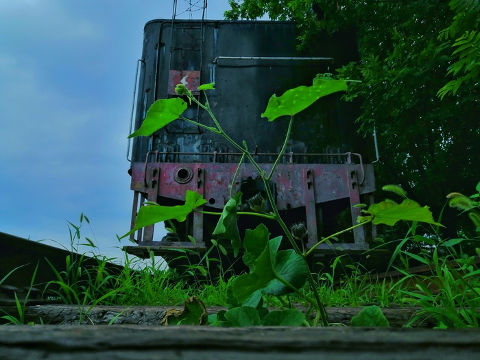 废弃火车