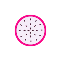 手绘火龙果