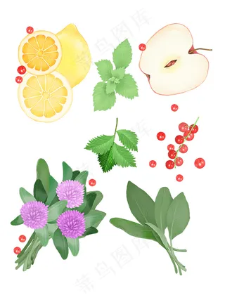 鲜花水果插画