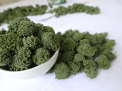 中药草三七花 中药草三七花