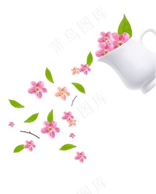 桃花 桃花图片