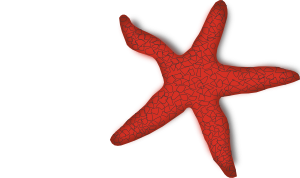 插件红海星剪贴画