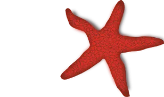 插件红海星剪贴画