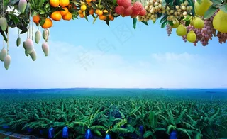 农业背景图图片