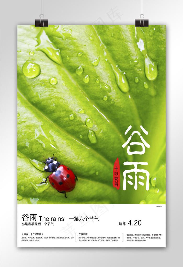 时尚谷雨节气宣传海报设计模板