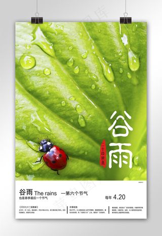时尚谷雨节气宣传海报设计模板
