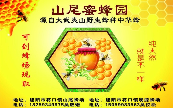 蜂蜜 广告 车贴