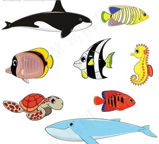 海洋生物 海鱼图片