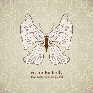 精美蝴蝶图案05—矢量素材