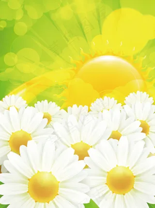 美丽的太阳花矢量