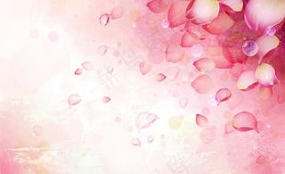 个性化墙纸 花瓣图片