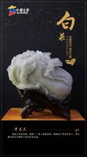 白菜 白菜