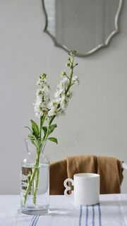 杯子和花瓶高清摄影图片