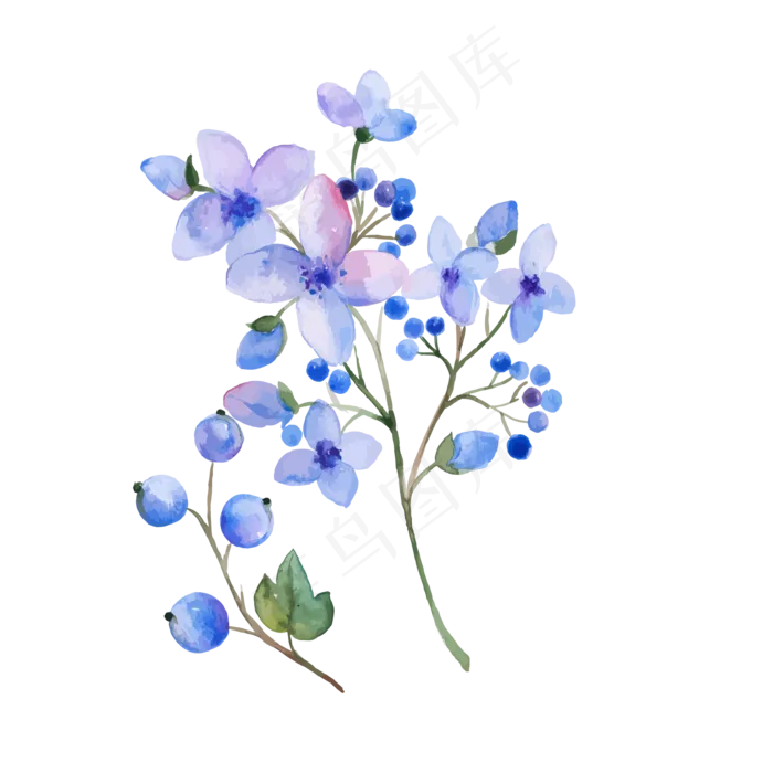 水彩风淡紫色花朵果实矢量图水彩风淡紫色花朵果实矢量图ai矢量模版下载