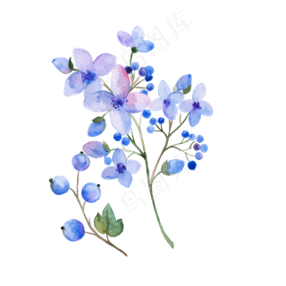 水彩风淡紫色花朵果实矢量图水彩风淡紫色花朵果实矢量图
